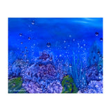 Coral Reef (Print Only) thumbnail