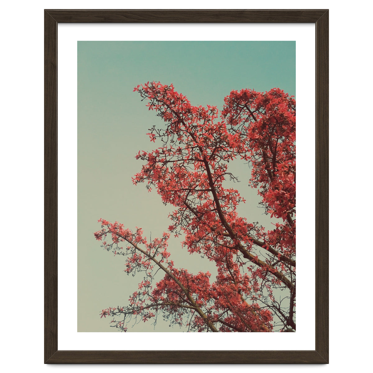 Red blossoms