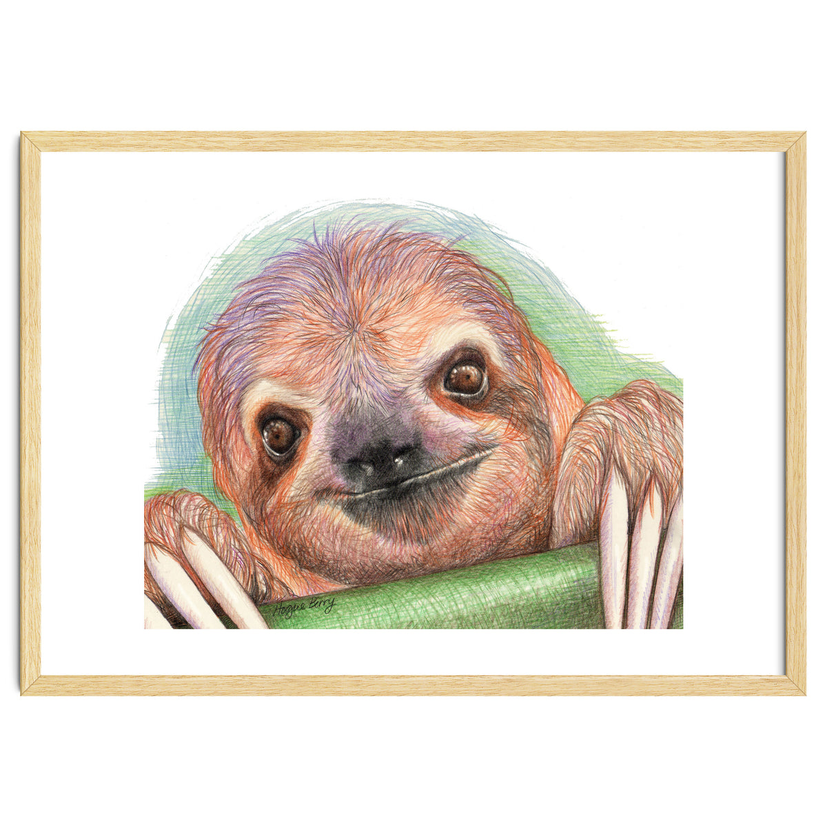 Smiling Sloth