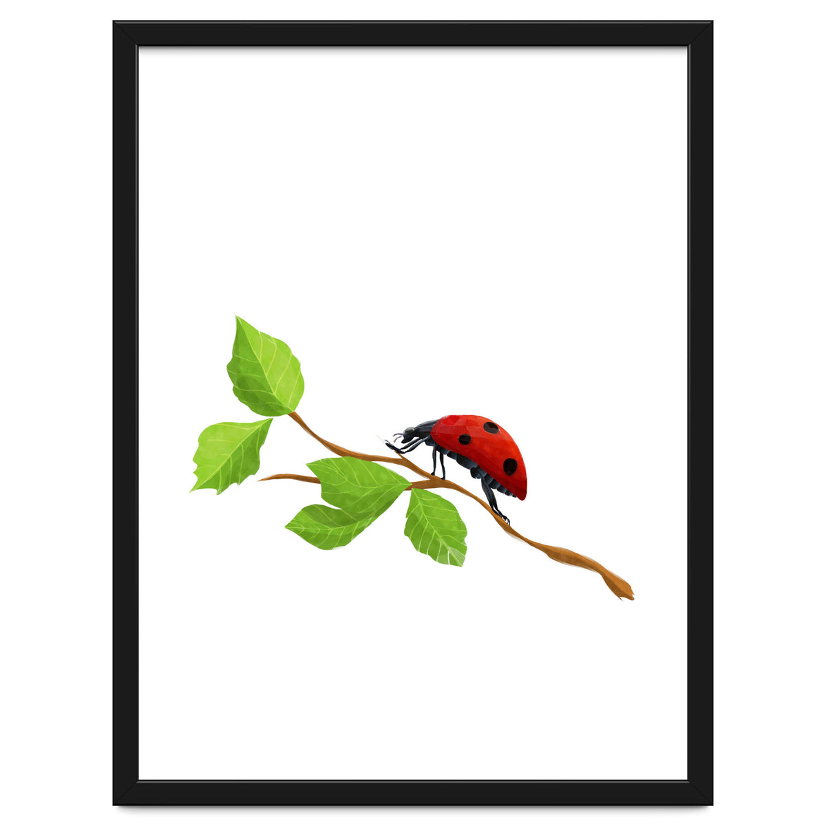 Ladybug