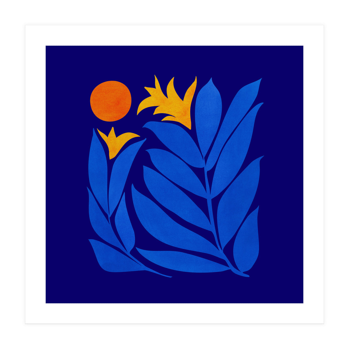 Community Garden At Night (Print Only)