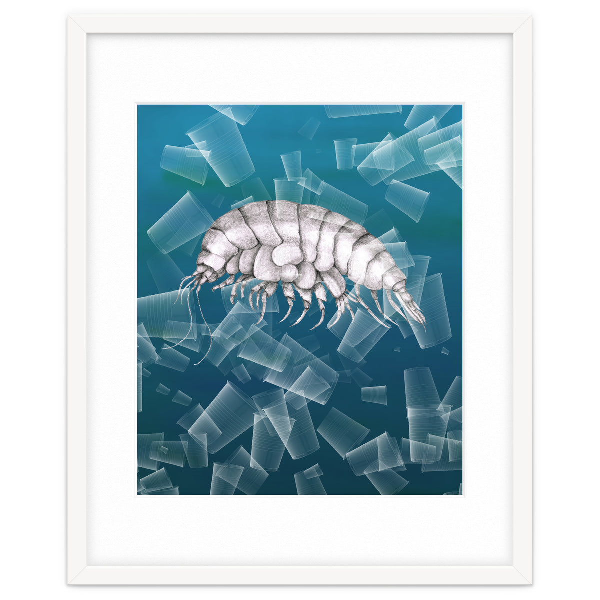 Eurythenes Plasticus