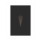 Delicate Fynbos Botanicals in Gold and Black (Print Only) thumbnail