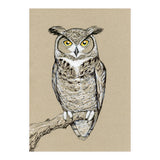 Great horned owl (Print Only) thumbnail
