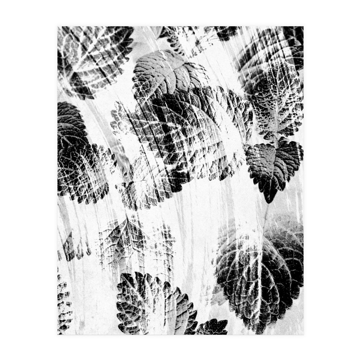 Raining Forest No6 (Print Only)