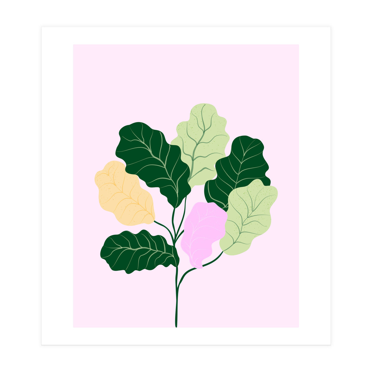 Figleaf (Print Only)
