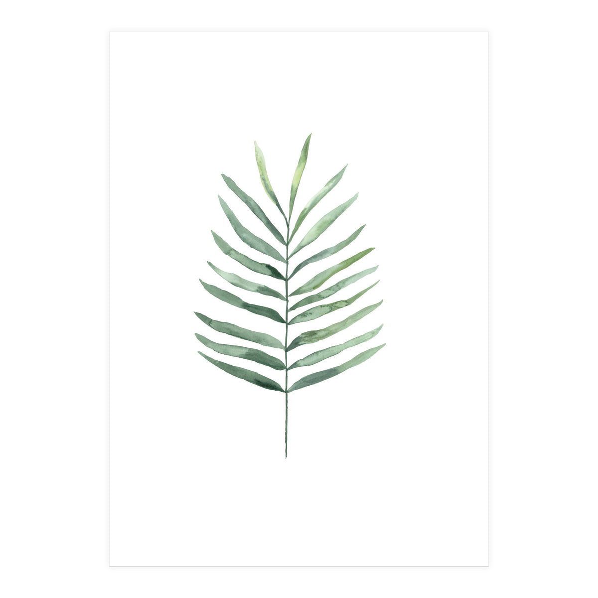 Botanical Illustration Fern (Print Only)