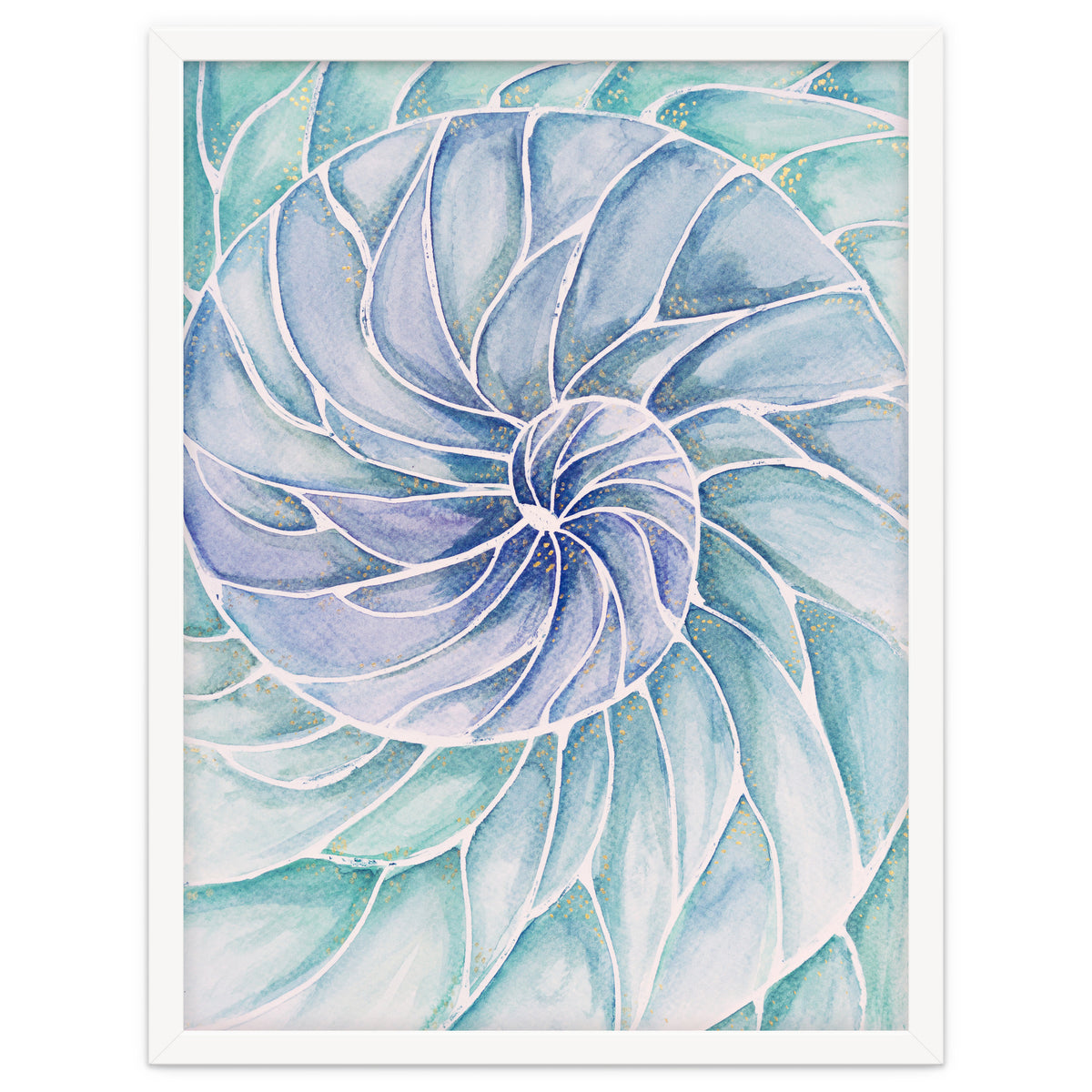 The inside of a shell