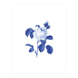 Blue Botanic I (Print Only) thumbnail