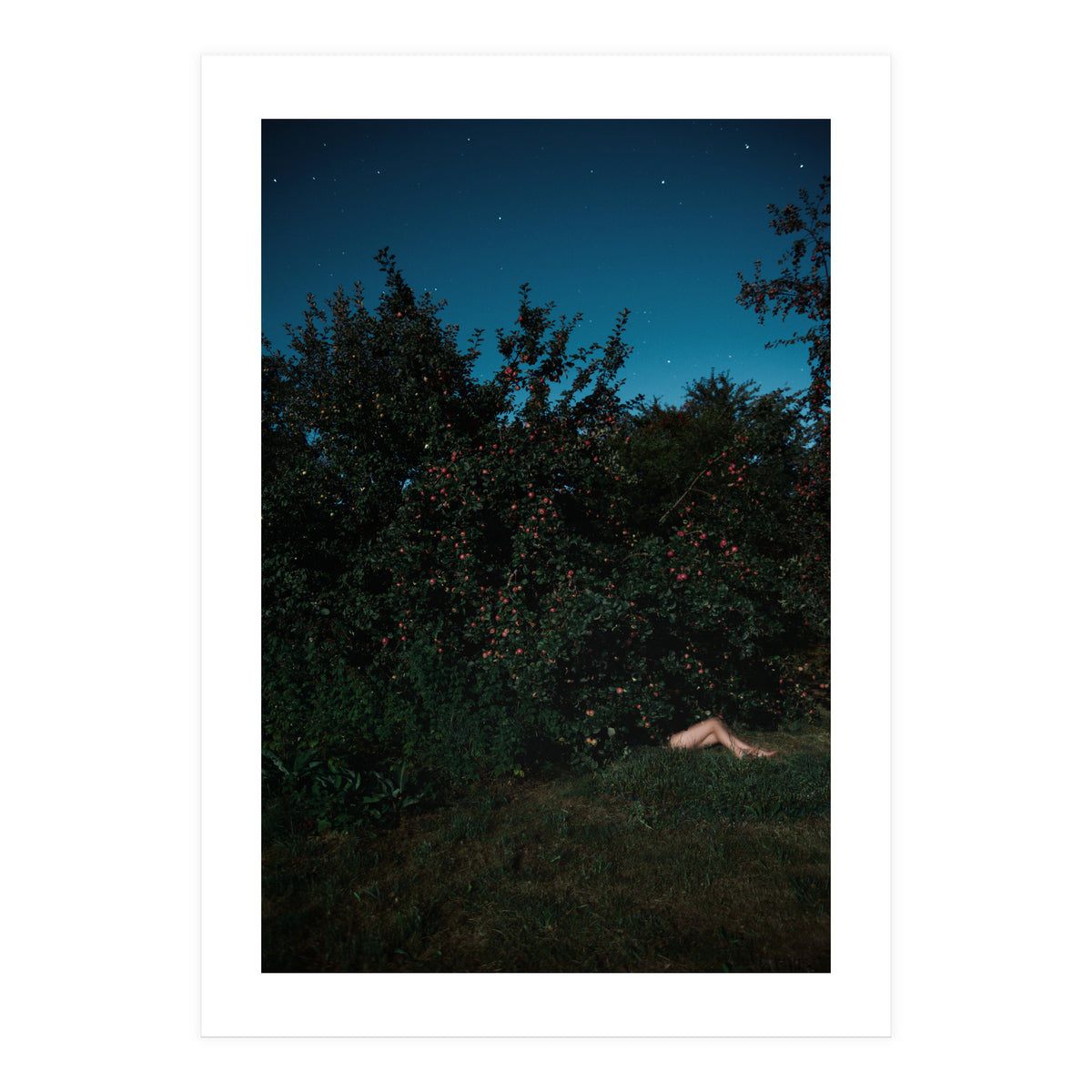 The Cider House Legs (Print Only)