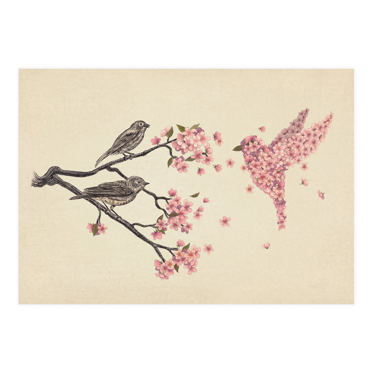 Blossom Bird (Print Only)