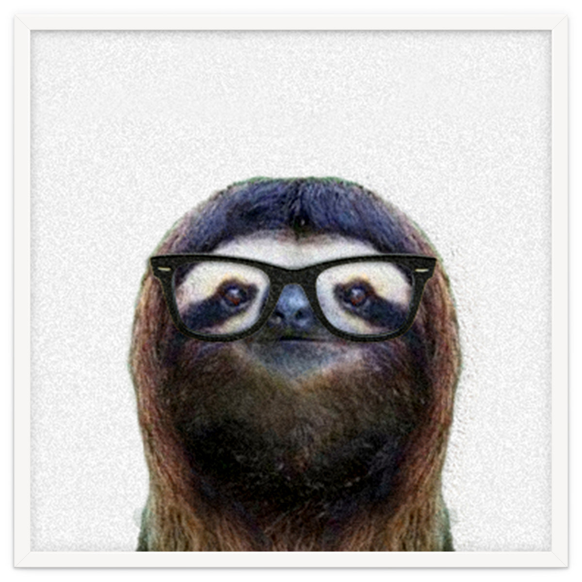 Geek Sloth