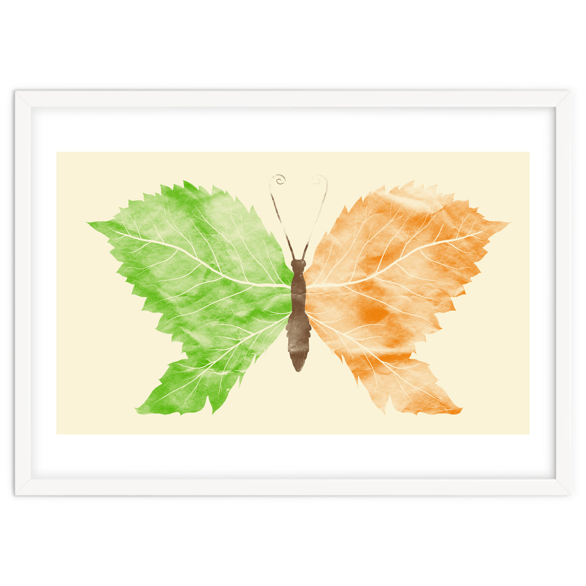 Seasons Change Time Flies