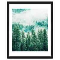 Forest And Fog