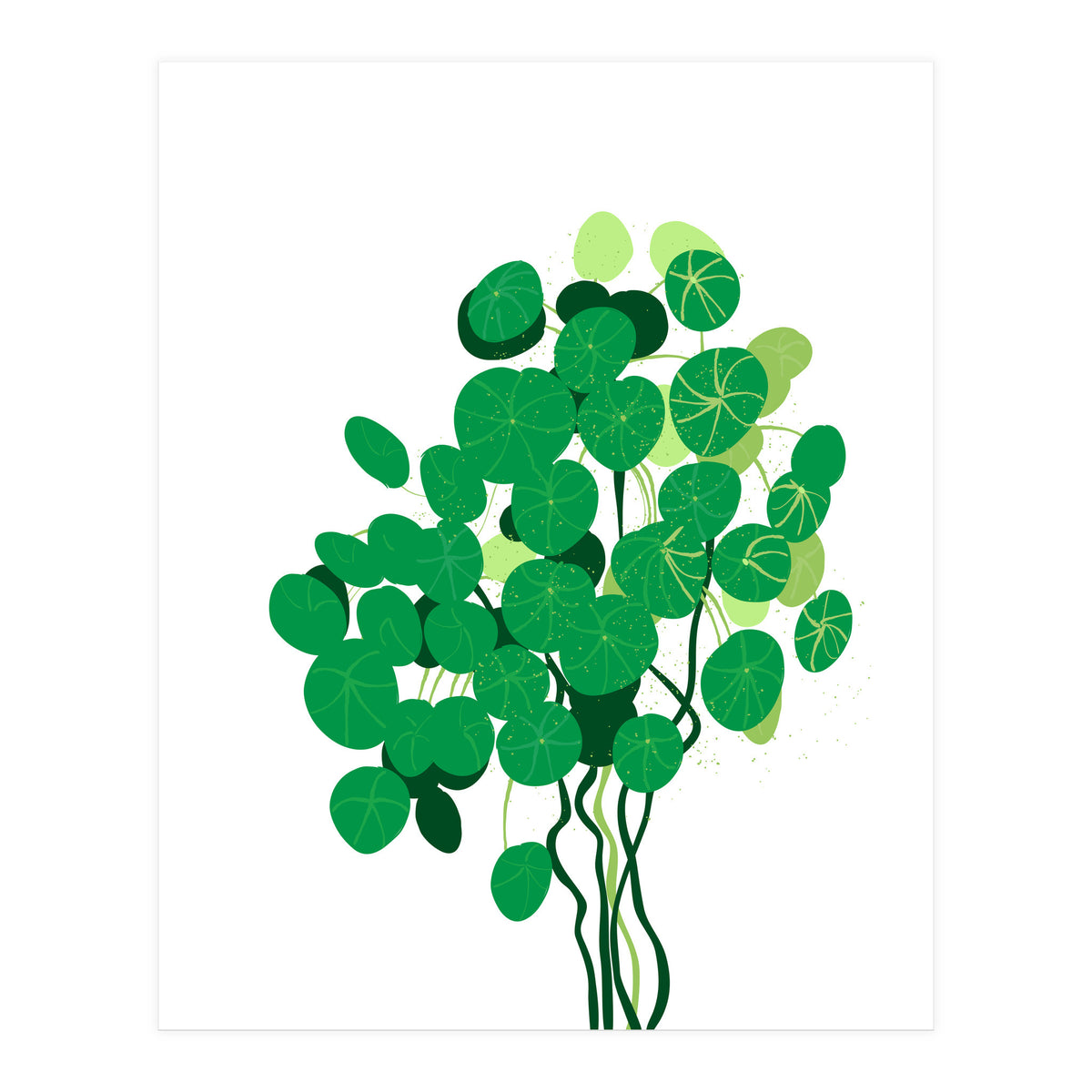 Pilea (Print Only)