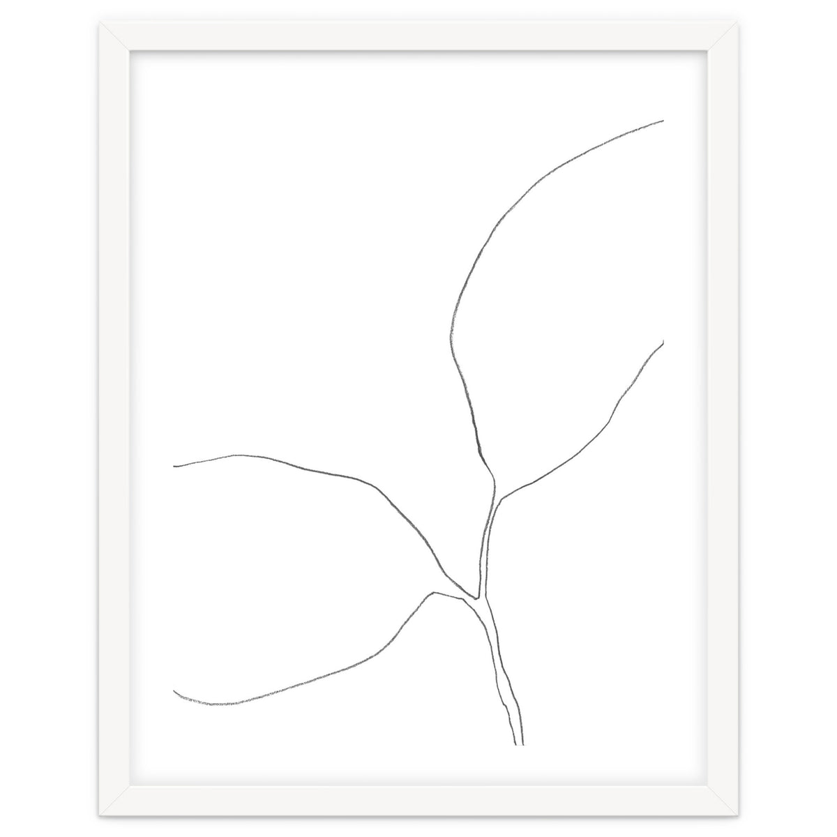 Seedling Leaning Left