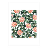 Josephine | Vintage Rose Garden Illustration | Bohemian Botanical Floral House Plants (Print Only) thumbnail