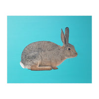 Rabbit (Print Only)