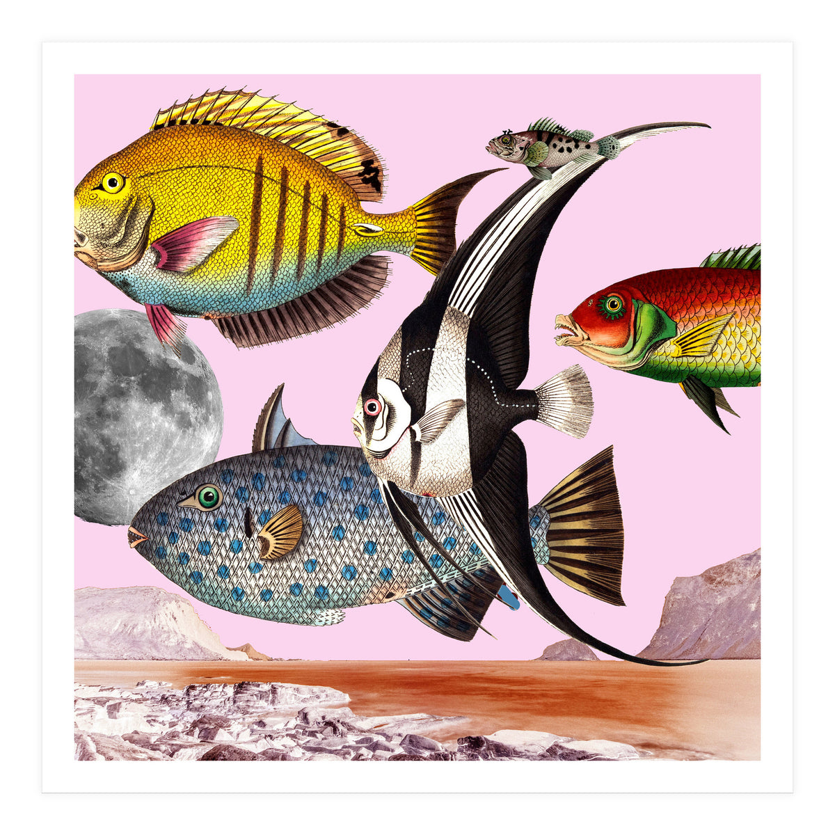 Fish World Pink (Print Only)