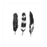 Dark Feather (Print Only) thumbnail