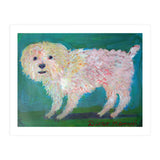 Caniche Blanco De Diego Manuel Rodriguez (Print Only) thumbnail