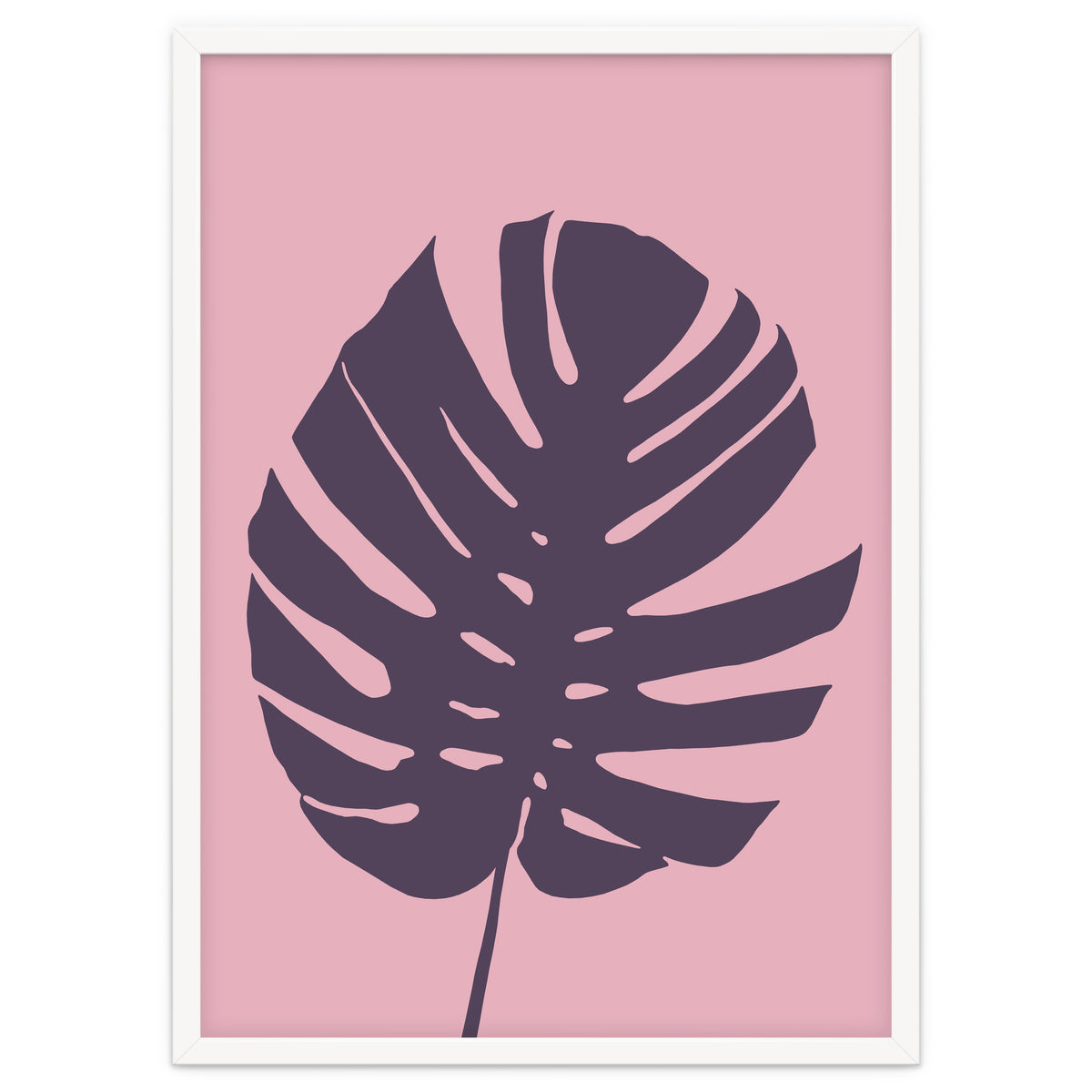 Monstera Deliciosa III