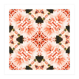 Blush Mandala (Print Only) thumbnail