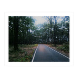 In To The Wild (Print Only) thumbnail
