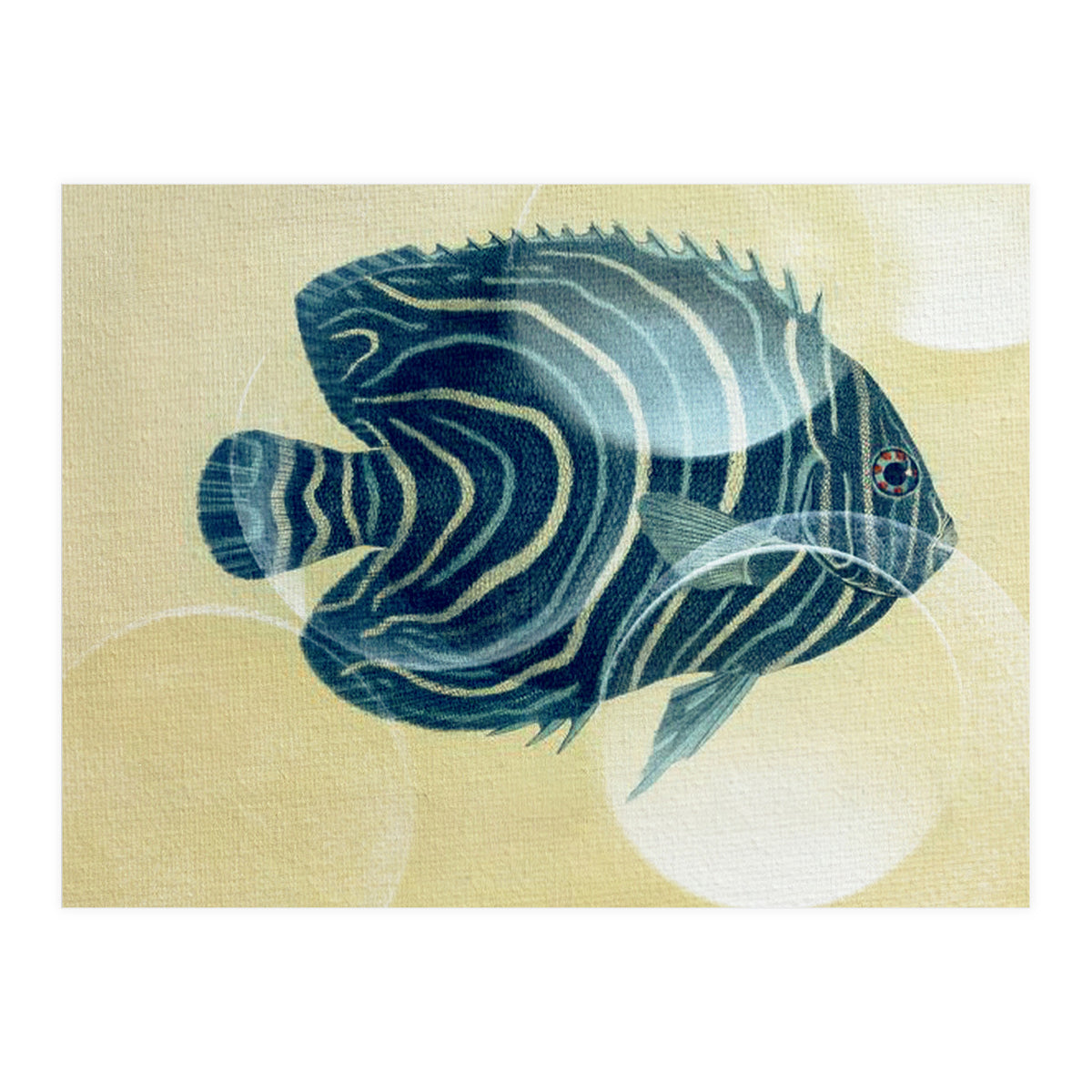 Fish Between Circles (Print Only)