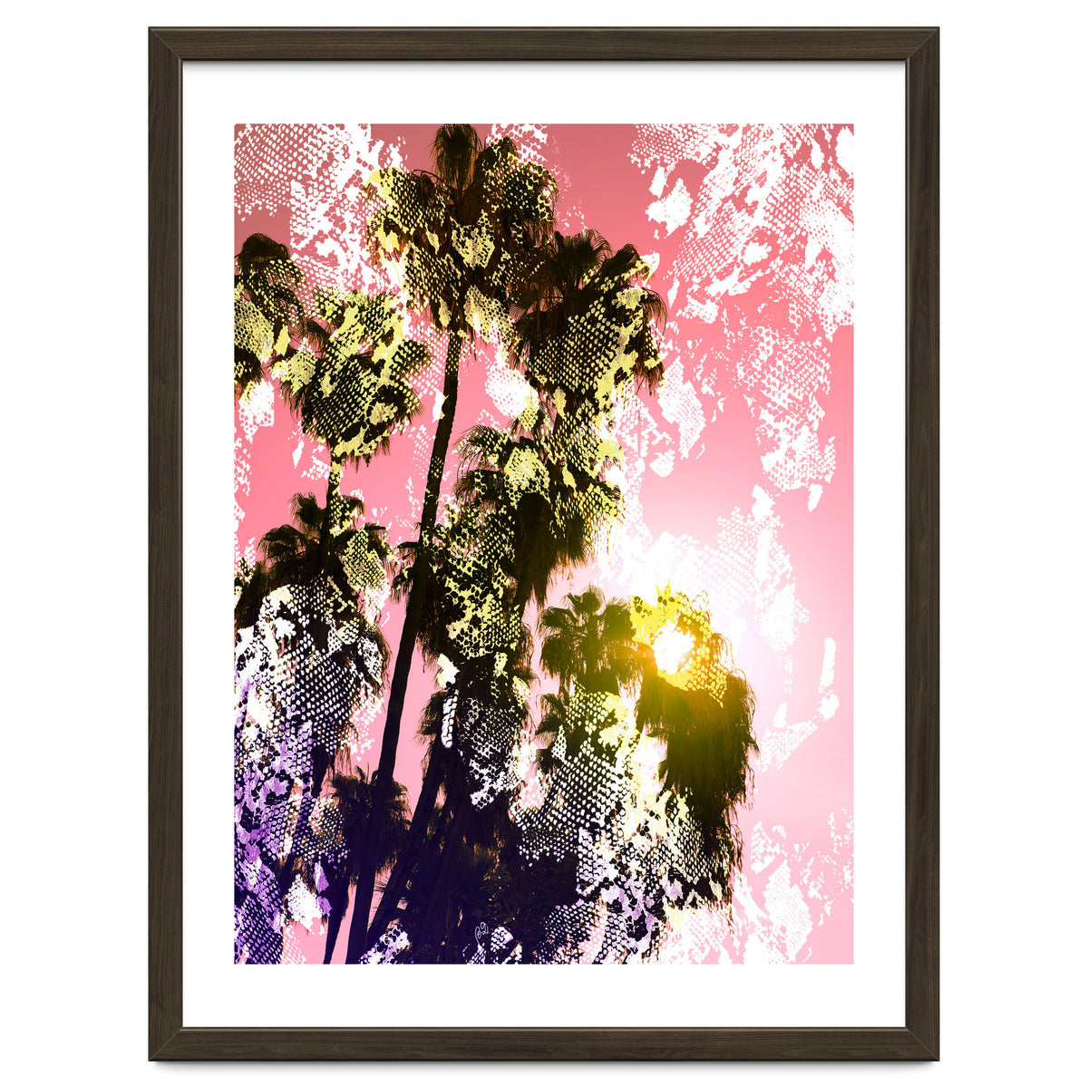 Snake sunset in paradise