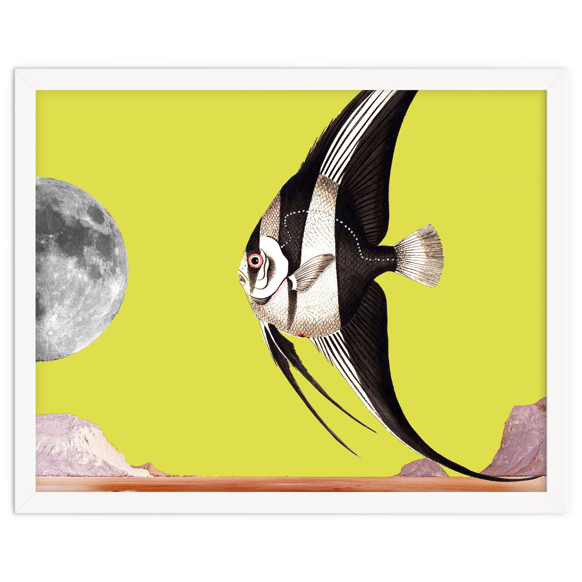 Plenty of fish in the sea yellow