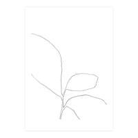 Three Leaf Seedling (Print Only)