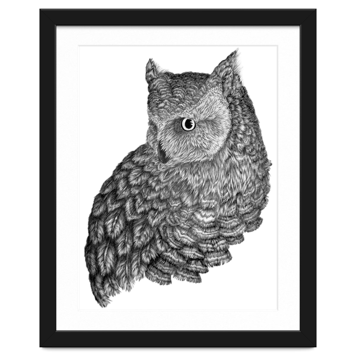 A Friend For Forsythe