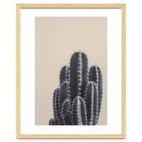Vintage Cactus #1