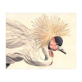 Crowned Crane (Print Only) thumbnail