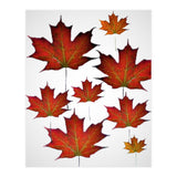 Autumn  leaves (Print Only) thumbnail