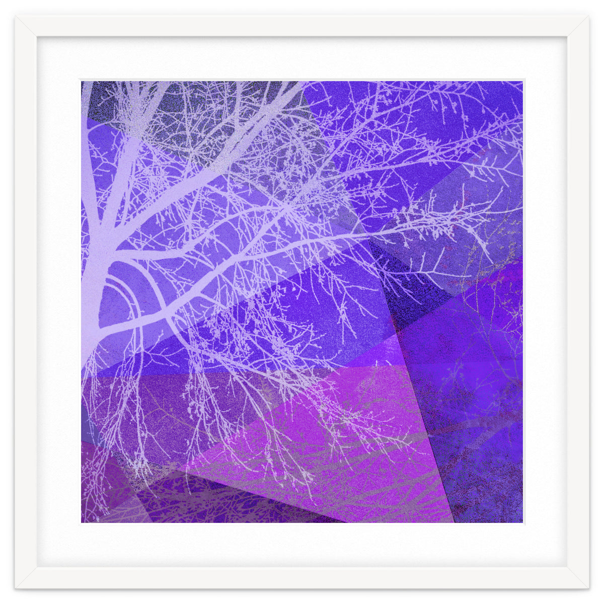 P19-D2 Trees and Triangles