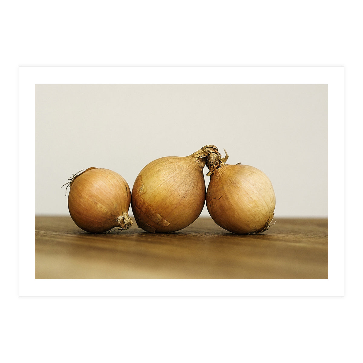 Onions (Print Only)