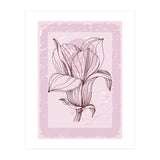 Magnolia - Minimal Contemporary Botanical Floral (Print Only) thumbnail
