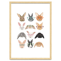 Rabbits in Glasses