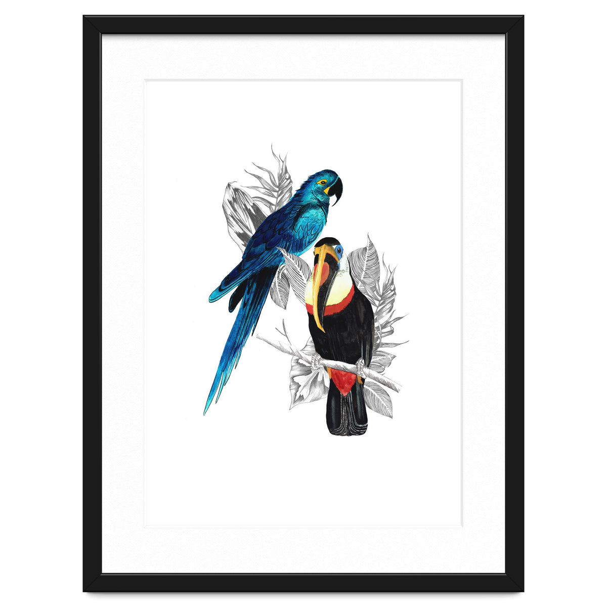 The Toucan and the Parrot