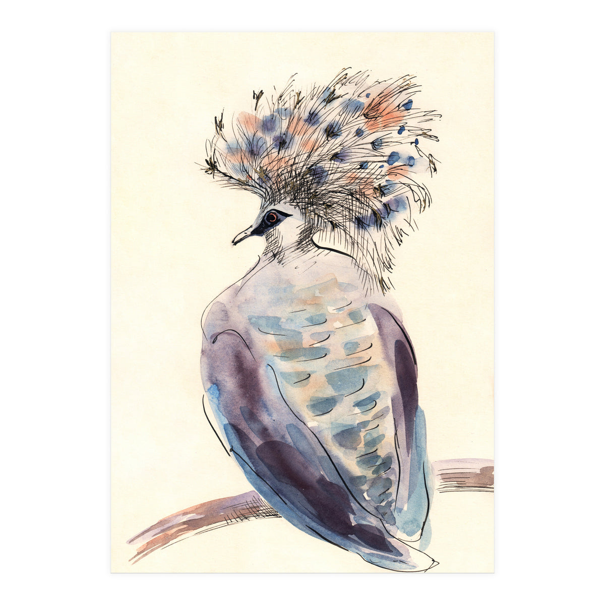 Crowned Pigeon (Print Only)
