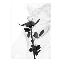 White Rose | Liquid Art  (Print Only)