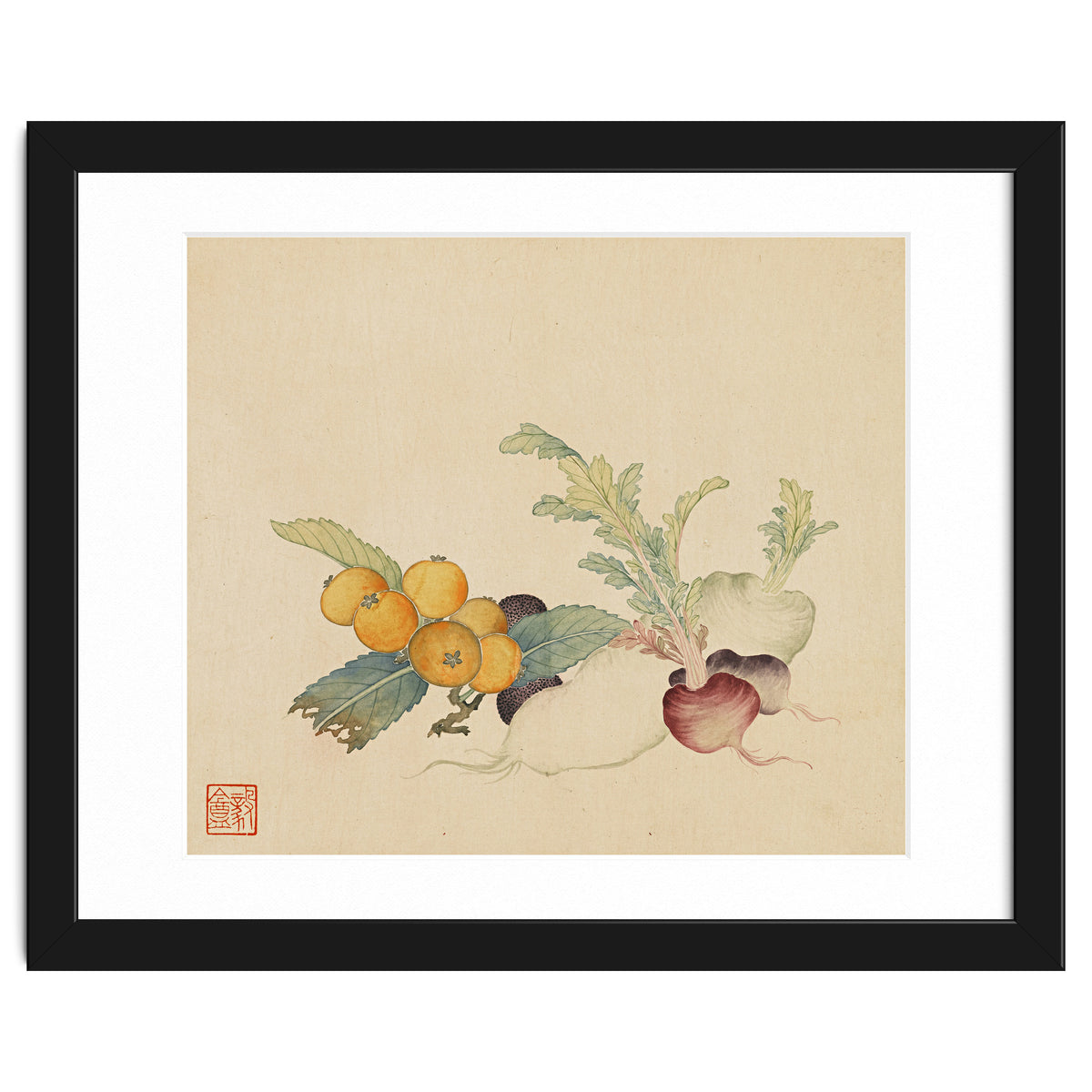 Wang Chengpi~flowers And Vegetables, Vegetables, Fruits, Loquat, White Radish, Carrot, Radish