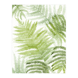 Samambaia  (Print Only) thumbnail
