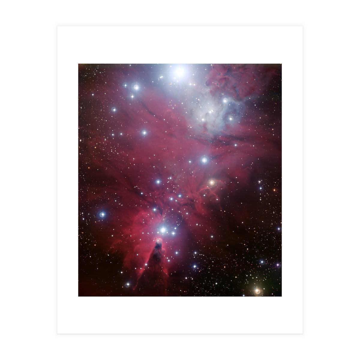 The Christmas Tree Cluster (Print Only)