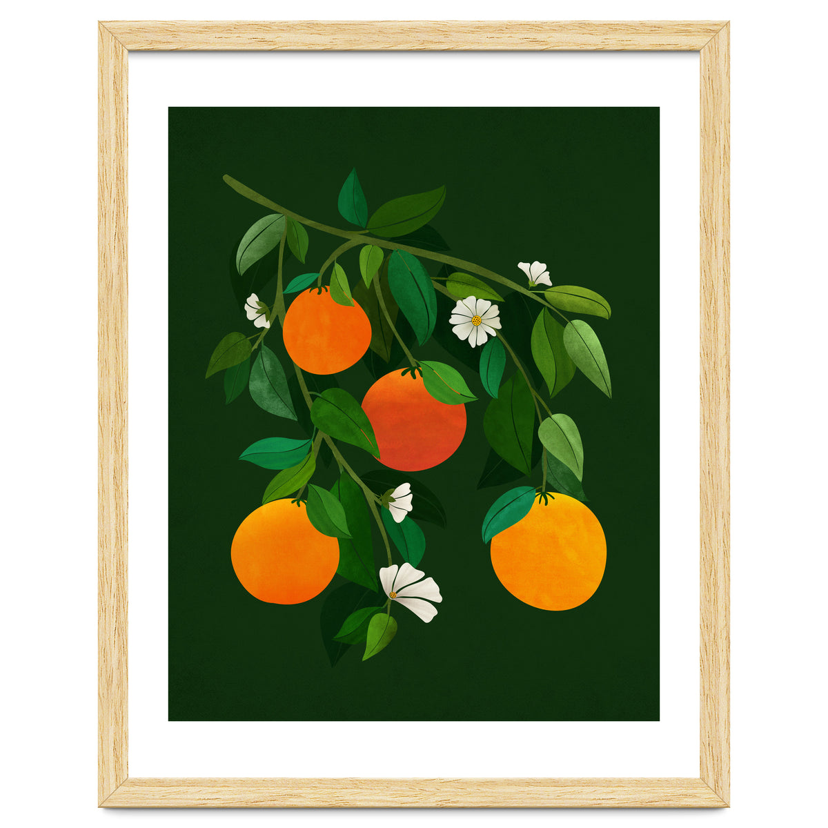 Oranges and Blossoms