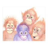 Orangutan Babies (Print Only) thumbnail