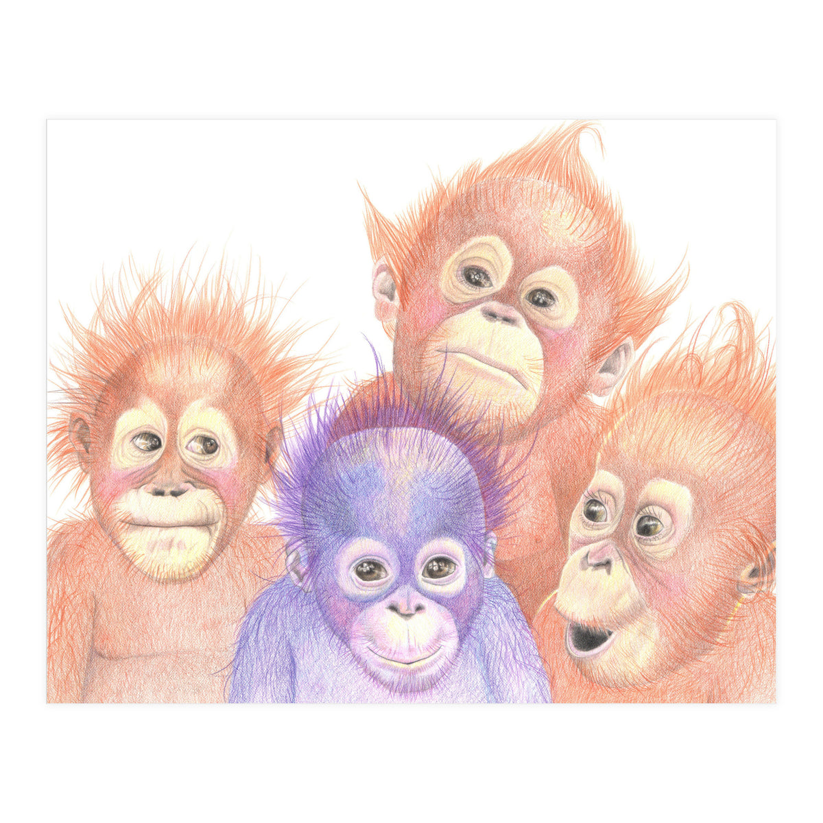 Orangutan Babies (Print Only)