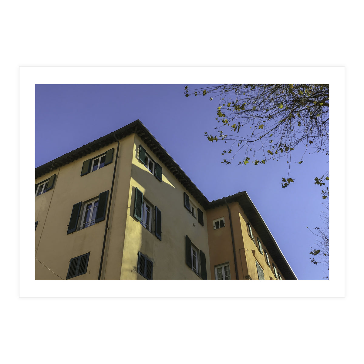 Windows From Tuscany 2 (Print Only)